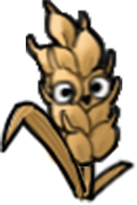 Barley