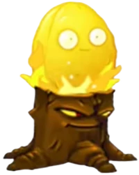 Barrierwood