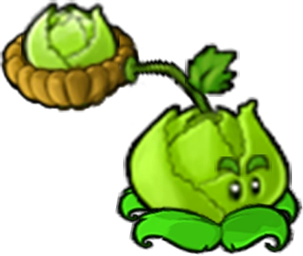 Cabbage-pult