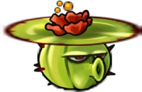 Cactus Drone