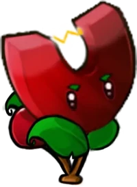 Cherry-magnet