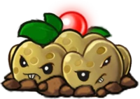 Cherry Mine