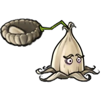 Clove-pult