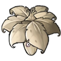 Garlic Leaf