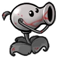 Grey Pea