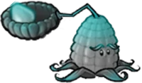 Kernel Lure