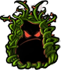 Mangle Kelp