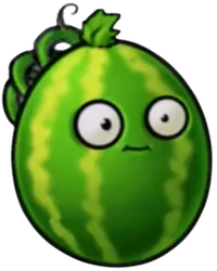 Melon-nut