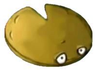 Nut Pad