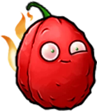 Scorch Wall-nut