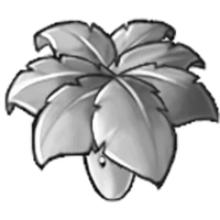 Silver Leaf