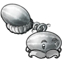 Silver Melon