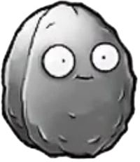 Silver-nut