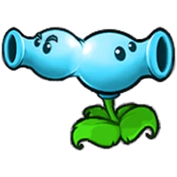 Split Snow Pea