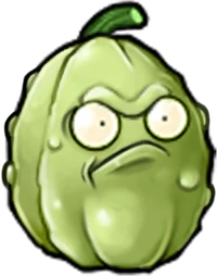 Squash-nut