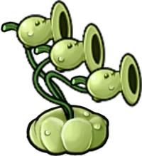 Squash-spreader