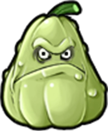 Squash