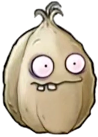 Stinky-nut