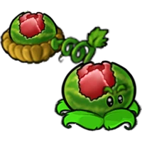 Stuffed Melon