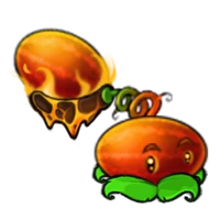 Summer Melon