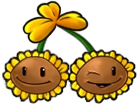 Sun Bomb