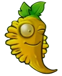 Sun Pepper
