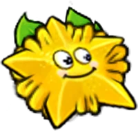 Sunfruit