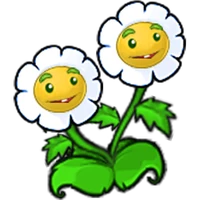 Twin Marigold