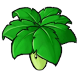 Umbrella Leaf