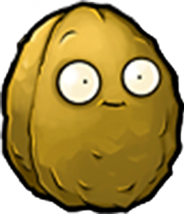 Wall-nut