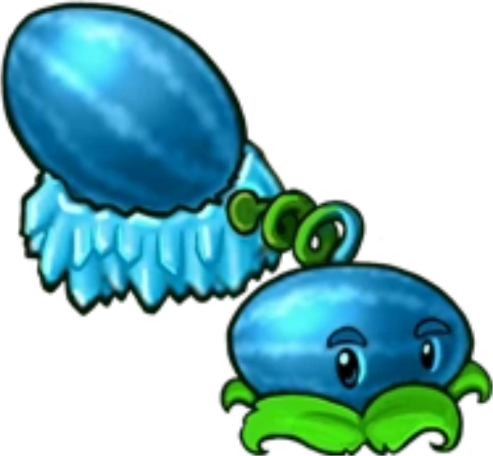 Winter Melon